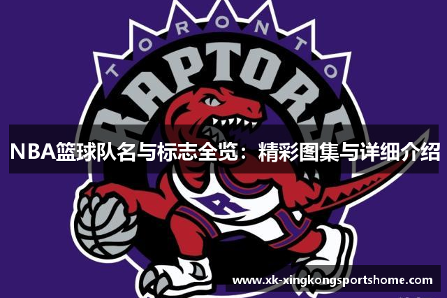 NBA篮球队名与标志全览：精彩图集与详细介绍