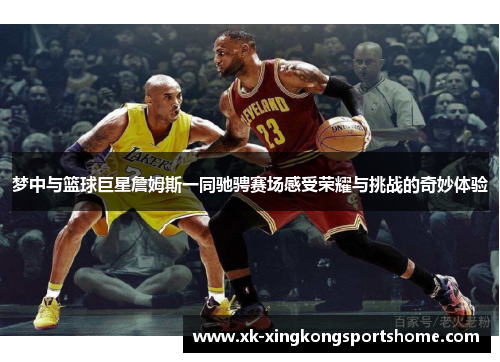 梦中与篮球巨星詹姆斯一同驰骋赛场感受荣耀与挑战的奇妙体验